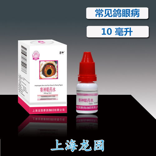 賽鴿健翔 賽神眼藥水與霧化器助力賽道提速